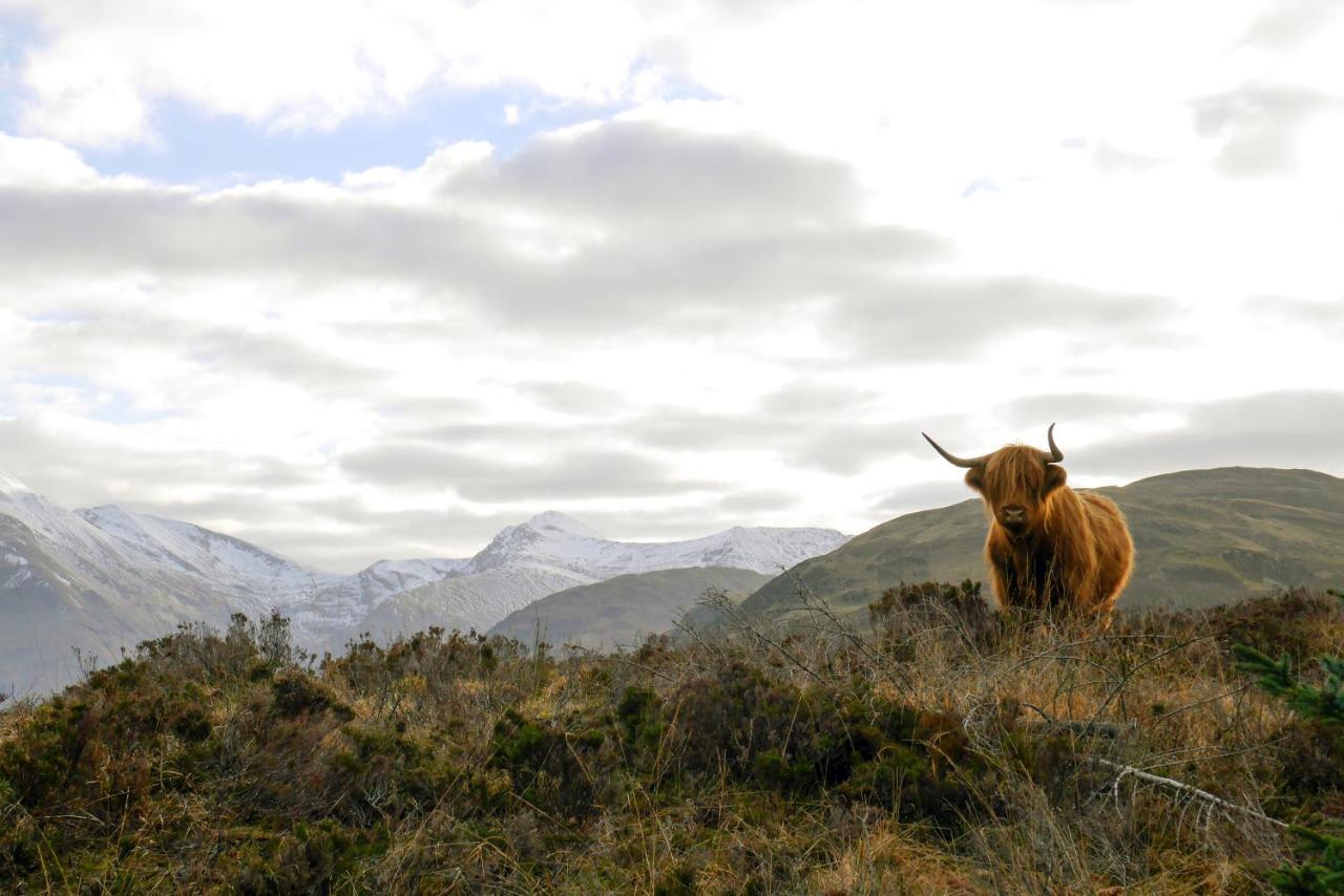 Glen Nevis Holidays 포트 윌리엄 외부 사진