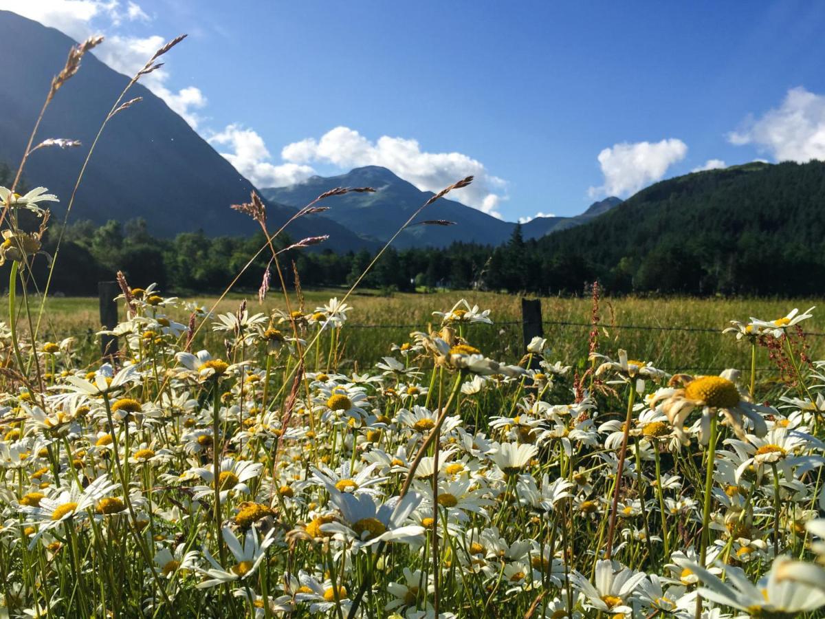 Glen Nevis Holidays 포트 윌리엄 외부 사진